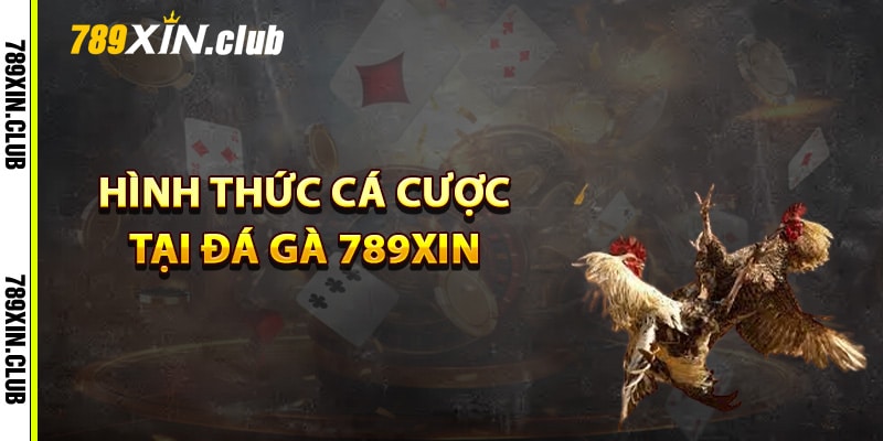 Đa dạng hình thức cá cược tại đá gà 789Xin