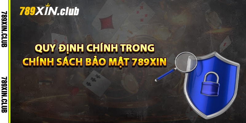 Quy định chính trong chính sách bảo mật 789Xin